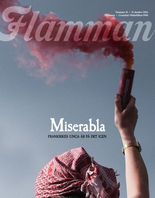 Flamman 41/2026
