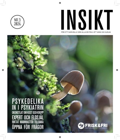 Insikt 3/2026