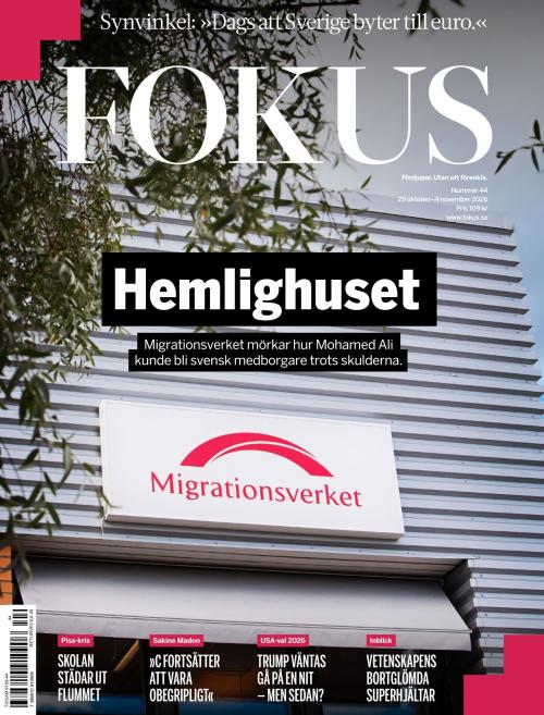 Fokus 44/2026