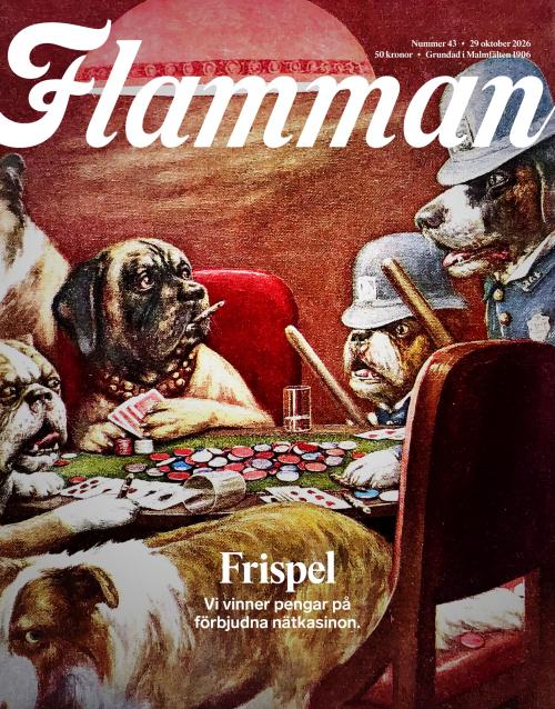 Flamman 43/2026